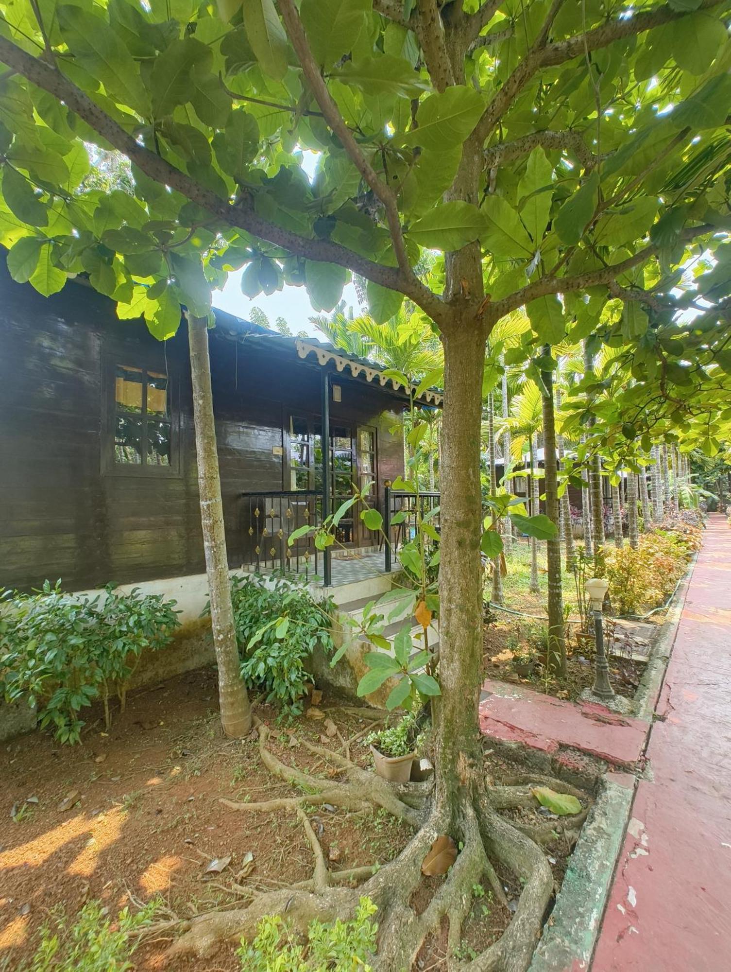 โก กรีน สไปซ์ แอนด์ อีโค รีสอร์ต Hotel กาเวลอสซิม ภายนอก รูปภาพ