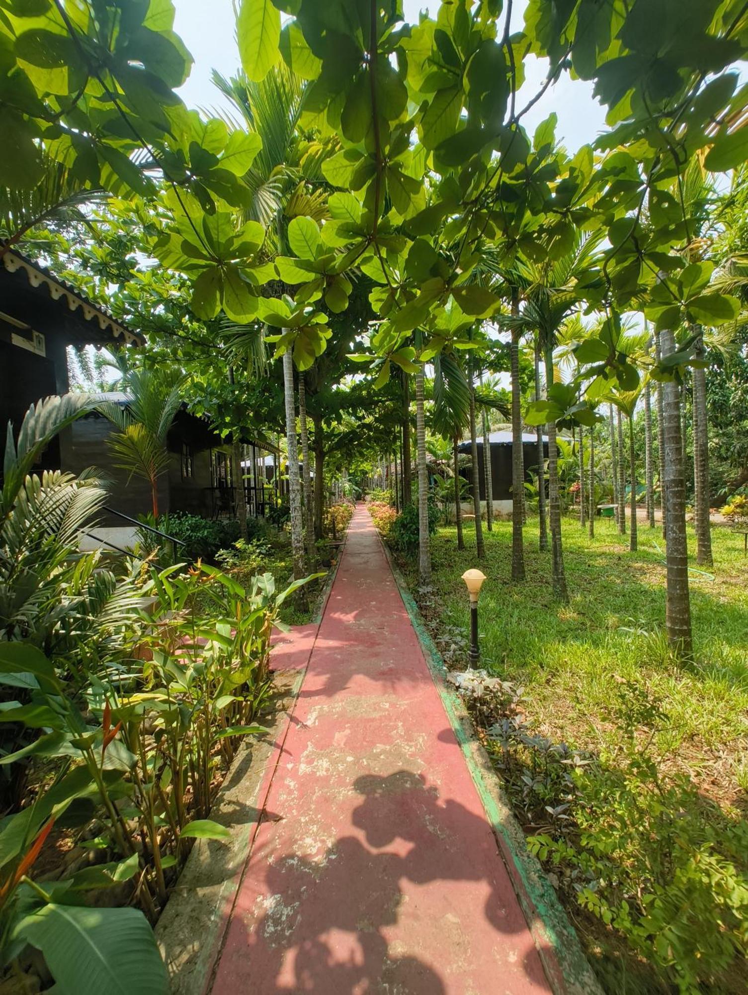 โก กรีน สไปซ์ แอนด์ อีโค รีสอร์ต Hotel กาเวลอสซิม ภายนอก รูปภาพ